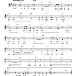 Hal Leonard 70 Classic Songs Book Books & AV