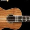 Hal Leonard Ukulele Method Book 1