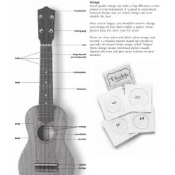 Hal Leonard Books & AV Absolute Beginners Ukulele - Omnibus Edition Book W/CD