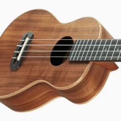 ANueNue Ukulele (Rainbow Koa Series)