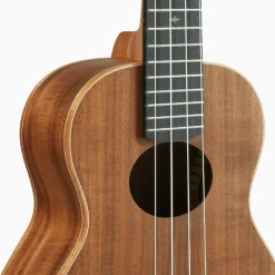 ANueNue Ukulele (Rainbow Koa Series)