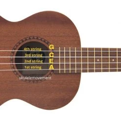 Accessories Aquila New Nylgut® Soprano Ukulele Strings