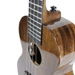 Enya All-Solid Mahogany Concert Ukulele (EUC-MAD)