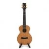 Enya All Solid Mahogany Ukulele (MS Series)
