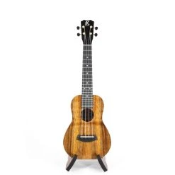 Kanile'a K-1 Concert (K-1 C)