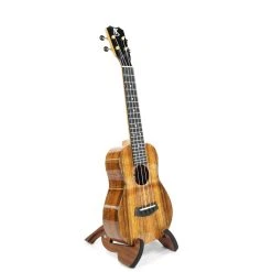 Kanile'a K-1 Concert (K-1 C)