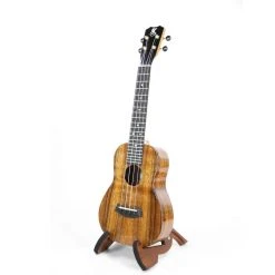 Kanile'a K-1 Concert (K-1 C)