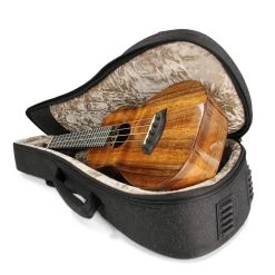 Kanile'a K-1 Concert (K-1 C)