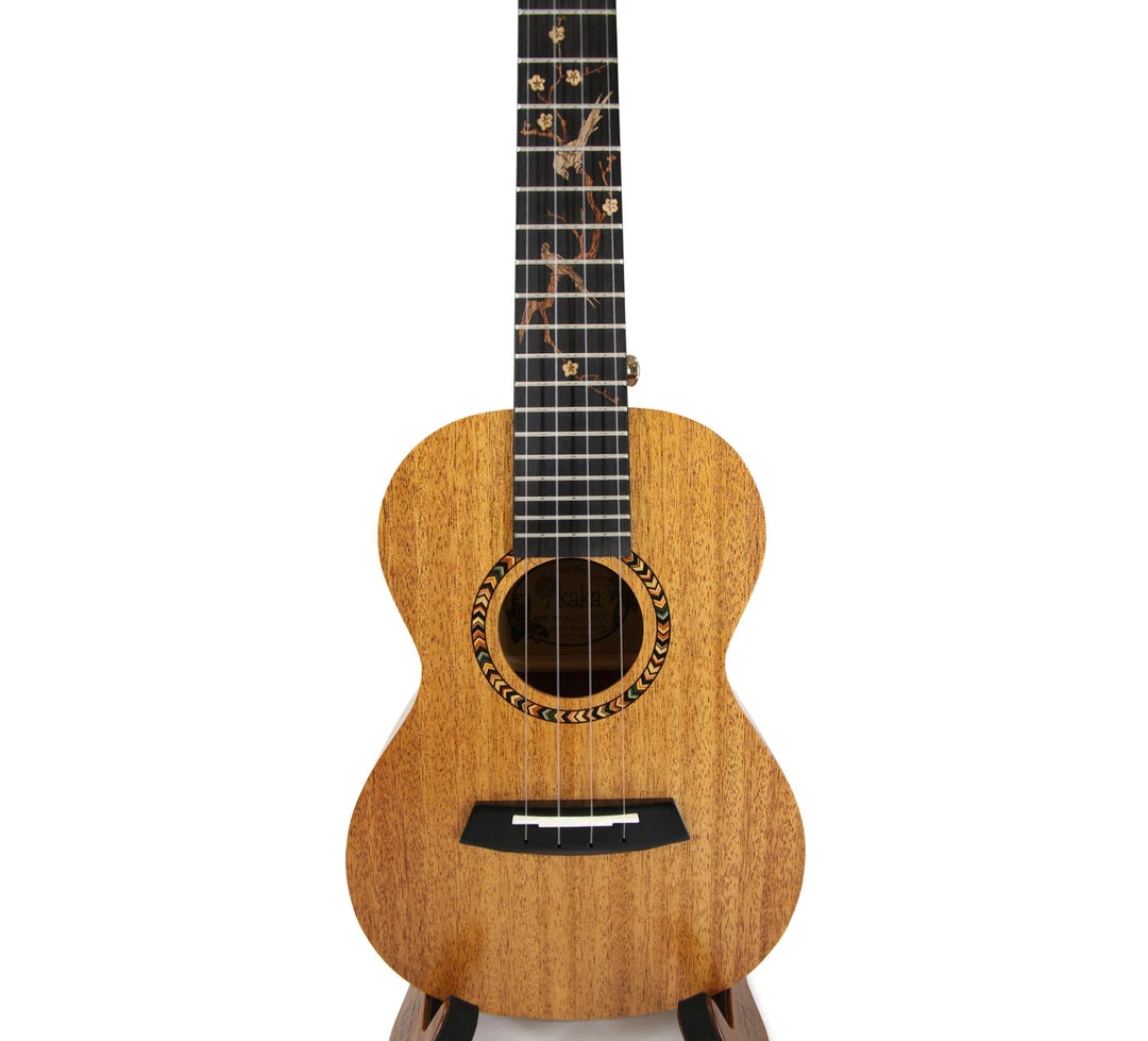 Ukuleles Enya Kaka Solid Top Mahogany Concert Ukulele (KUC-30D)