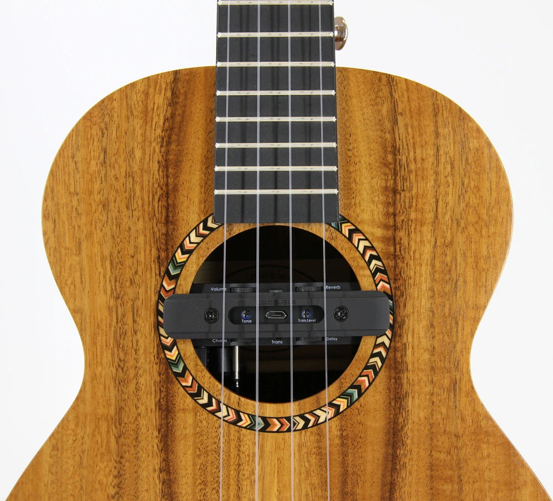 Enya Kaka Solid Top Acacia Tenor Ukulele (KUT-70D) Ukuleles
