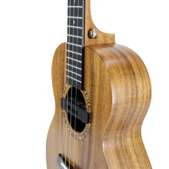 Enya Kaka Solid Top Acacia Tenor Ukulele (KUT-70D) Ukuleles