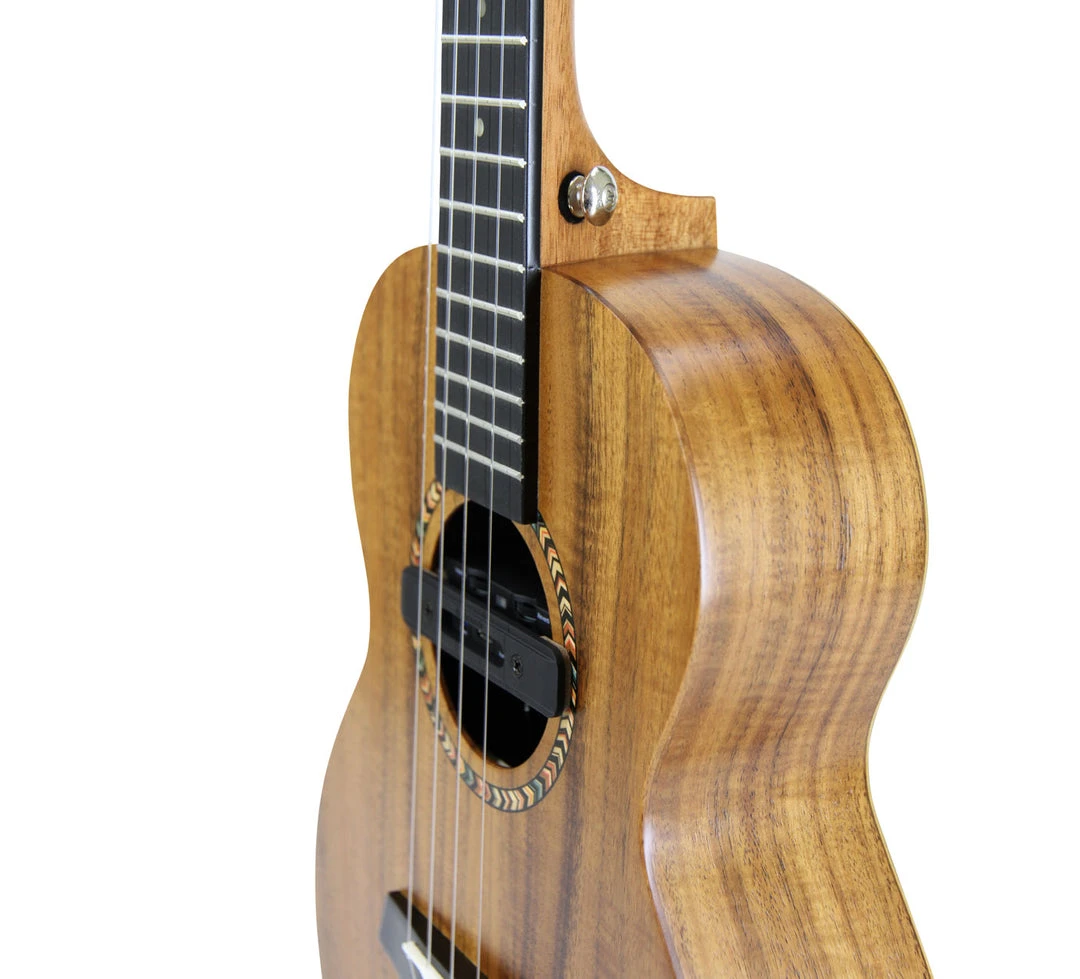 Enya Kaka Solid Top Acacia Tenor Ukulele (KUT-70D) Ukuleles
