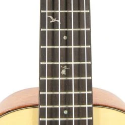 Leho All-Solid Spruce Mahogany Concert Ukulele -Celebration Series (LHUC-SSM-CEL) Ukuleles