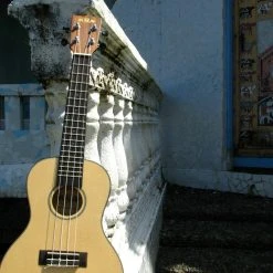 UM Module 1+ Ukulele 12-Week Course (Pte In-person) Lessons